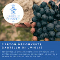 Tasting Box "Castello di Uviglie"